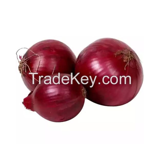 Wholesale red onions available for export and large-scale supply