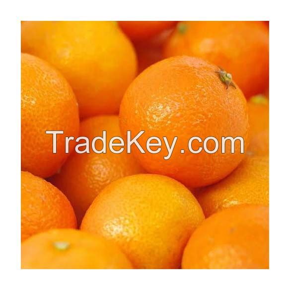 Fresh Oranges for sale in wholesale price
