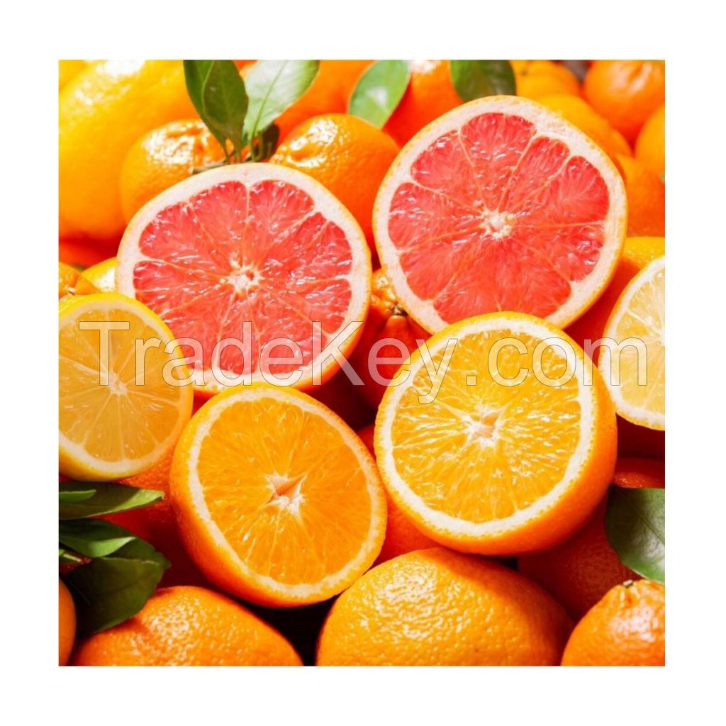 Fresh Oranges for sale in wholesale price