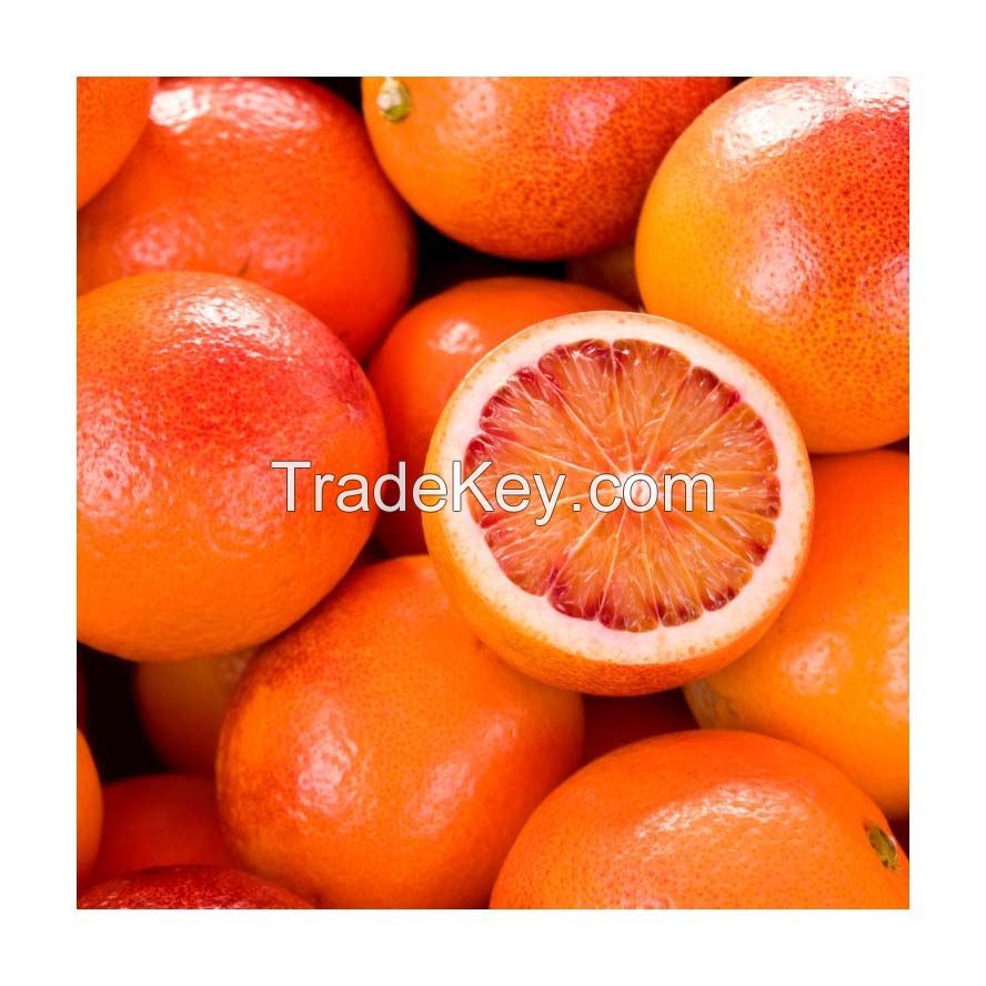 Fresh Oranges for sale in wholesale price