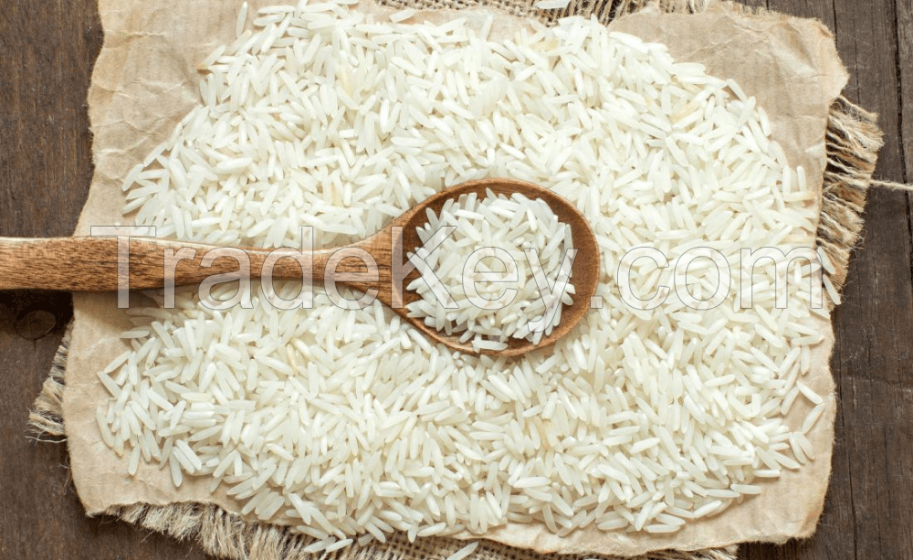 Rice