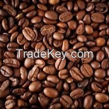 Robusta coffee bean