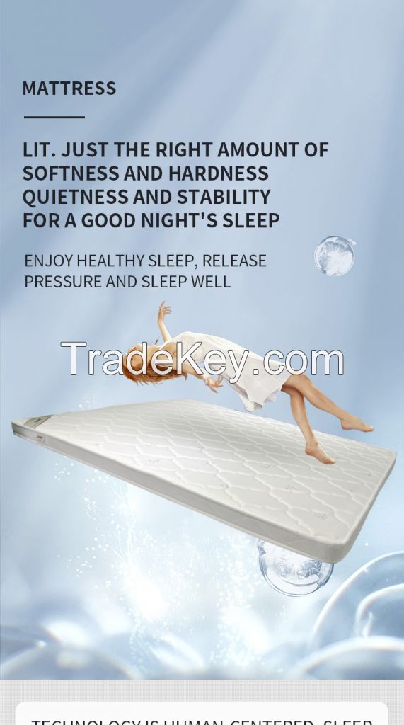 Spring mattress Apartment rental special 8cm thick double bed hard coconut natural latex Simmons mattress