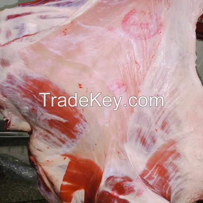 Beef Boneless Meat Trimming/Halal Beef Meat discount price