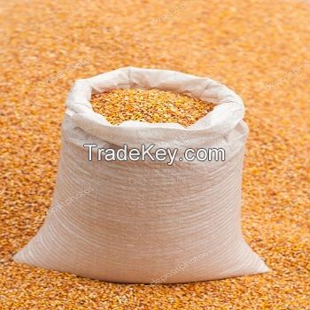 Argentina Yellow Corn Maize For Animal Feed Yellow Corn For Poultry Feed Export Quality Available