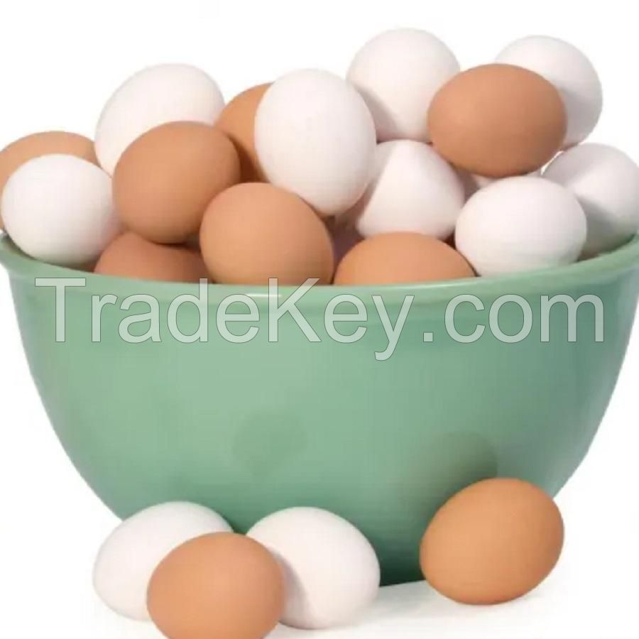 high quality fresh table eggs brown and white for sale big small white and brown chicken fresh table eggs