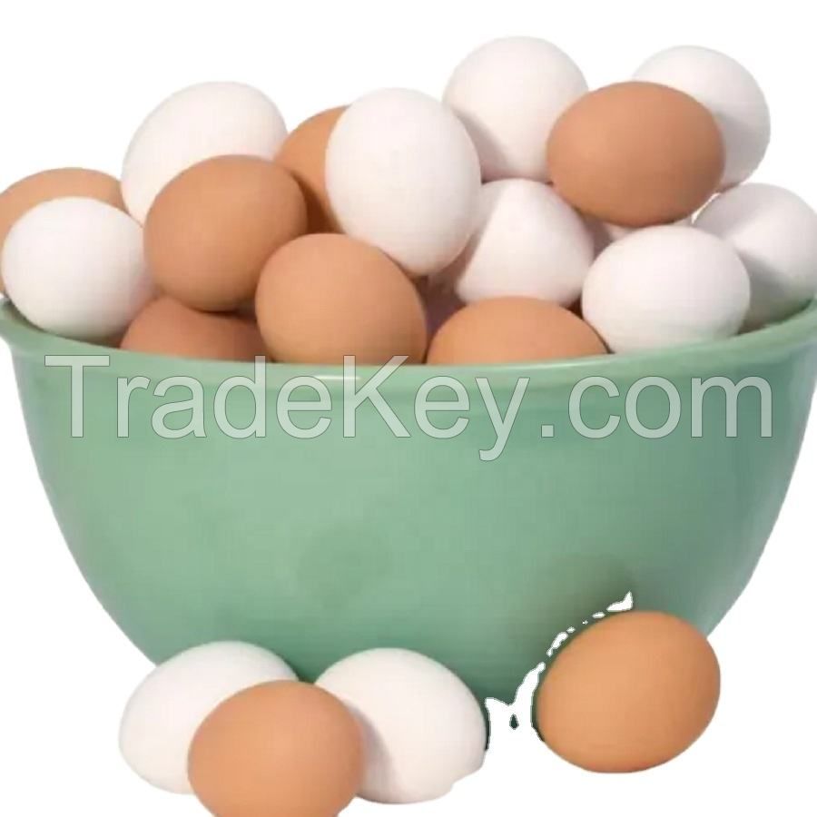 high quality fresh table eggs brown and white for sale big small white and brown chicken fresh table eggs