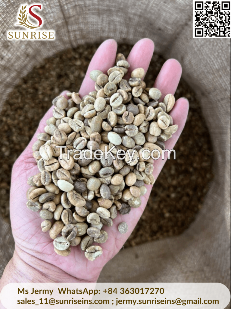 Robusta green coffee beans