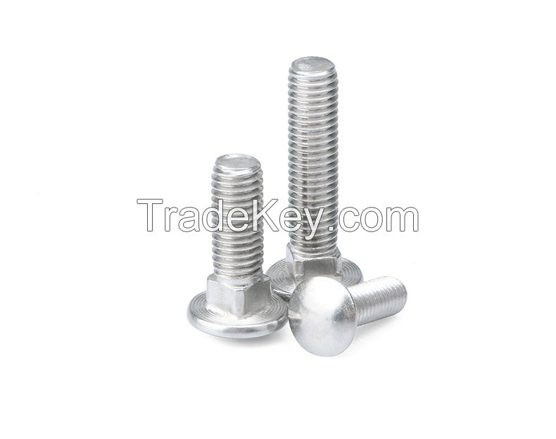 SS316 A4-70 DIN603 Round Head Square Neck Bolts