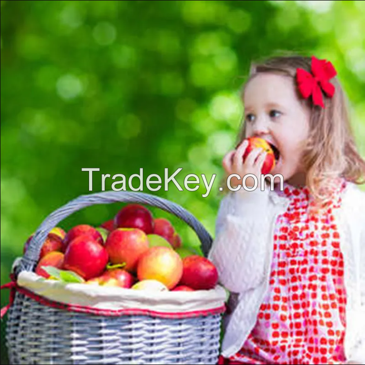 Fresh Apple for Sale 