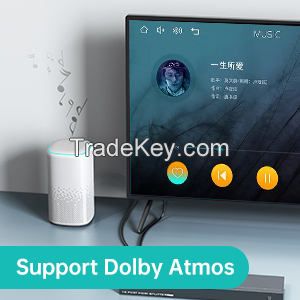 4K 30Hz HDMI Splitter 1 in 16 Out, MT-VIKI 1x16 1 Computer 16 Monitor + Power Adapter HDMI Splitter