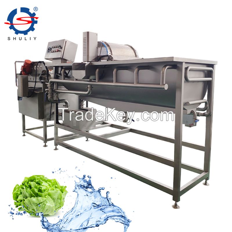 Automatic Vegetable Salad Washing Machine Orange Lemon Mango Strawberry Washer