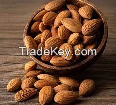 Almond Nuts Macadamia Nuts Betel Nuts Cashew Nuts Pistachio Nuts Hazel Nuts Walnuts Peacan Nuts ChestNuts Pine Nuts