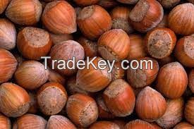 HAZELNUTS