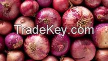 fresh onion