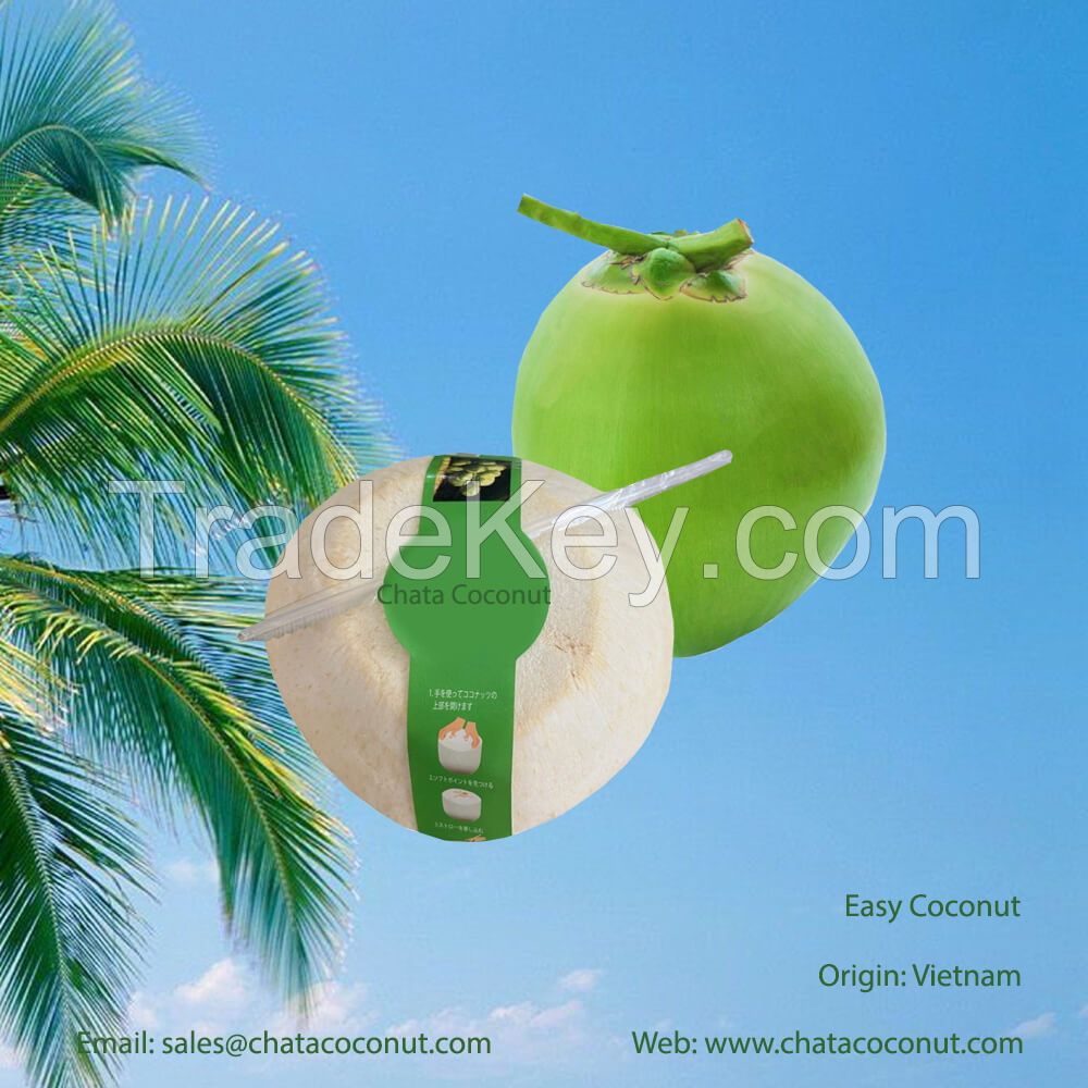 Easy Coconut