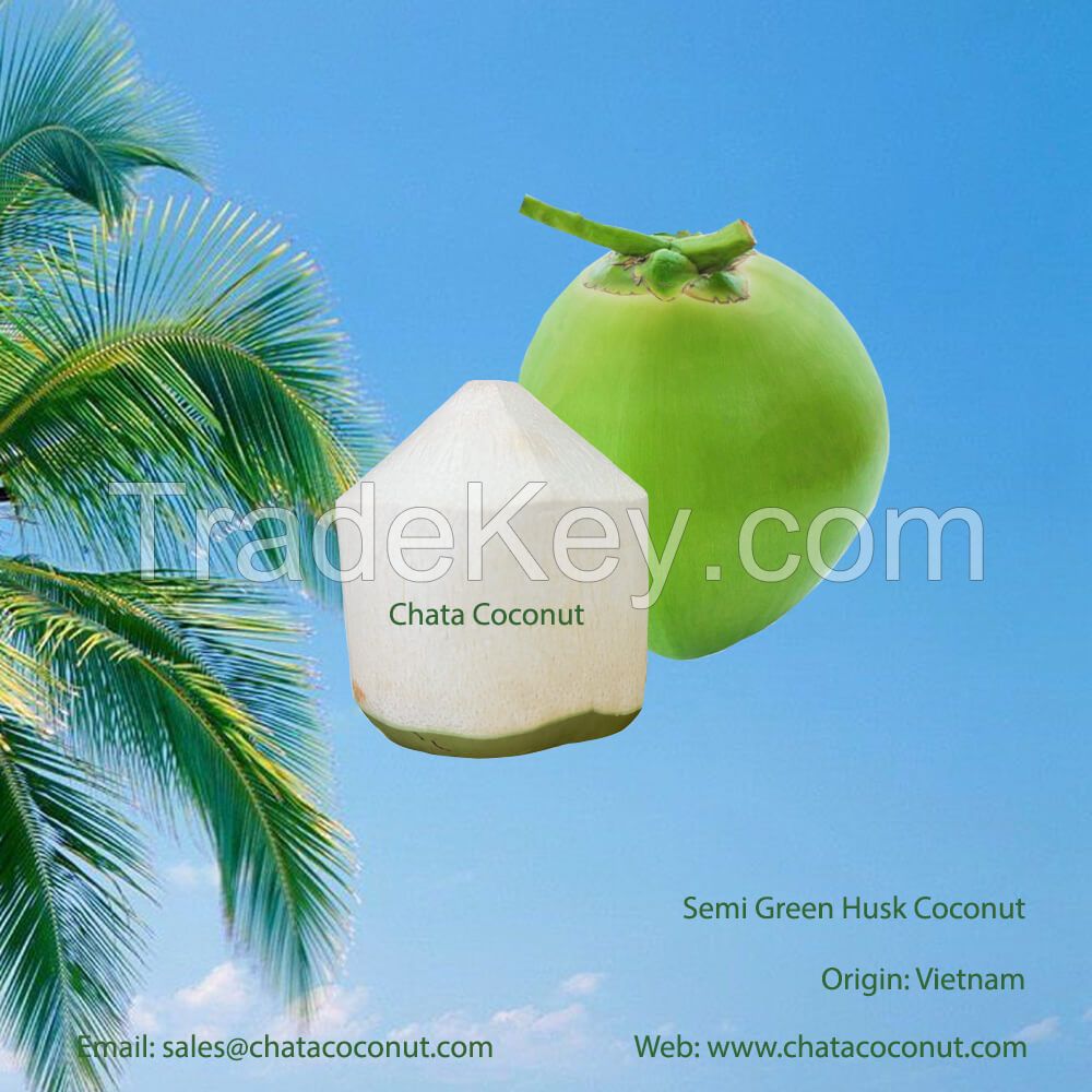 Semi green husk coconuts