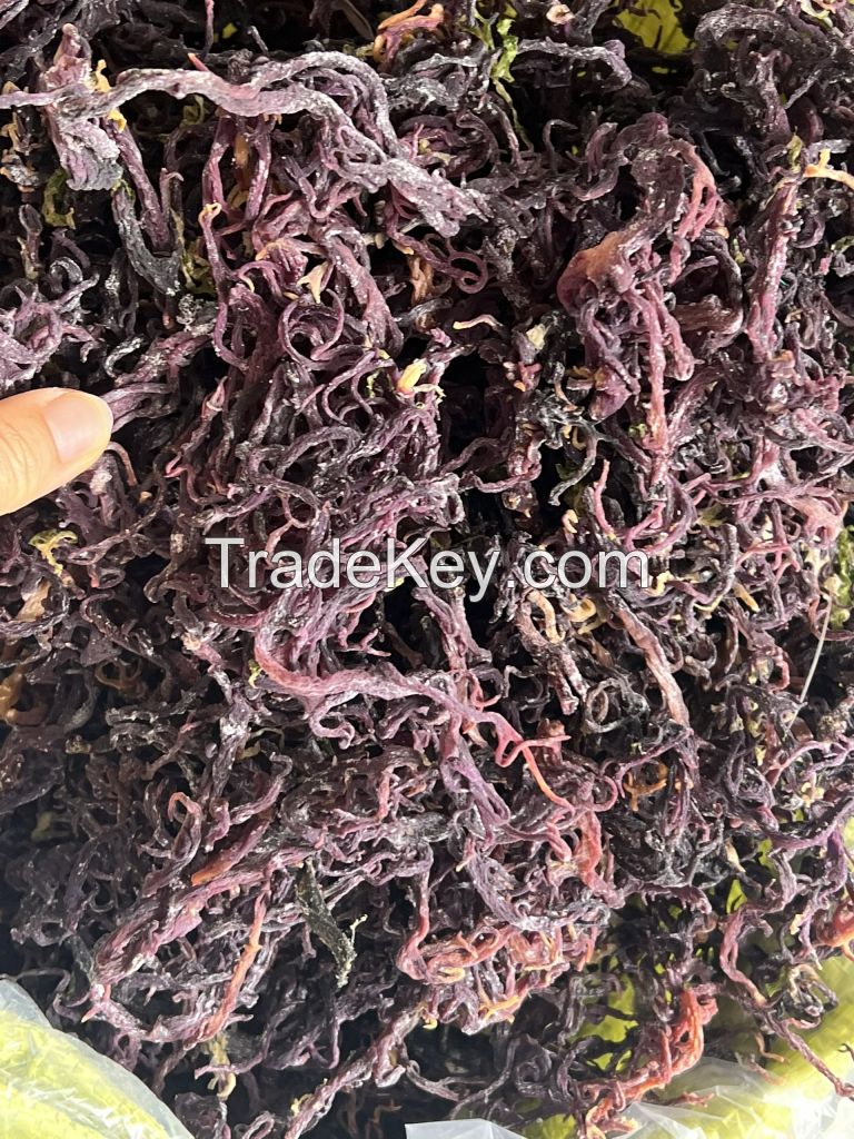 Dried Sea moss/ Wildcrafted sea moss/ Eucheuma Cottonii/ Irish moss from ocean Vietnam / Lima +84 346565938 (whatsapp)