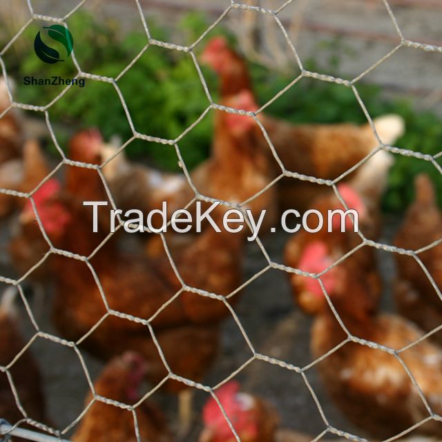 Hexagonal Wire Mesh Galvanized and PVC coating Chicken netting stucco mesh