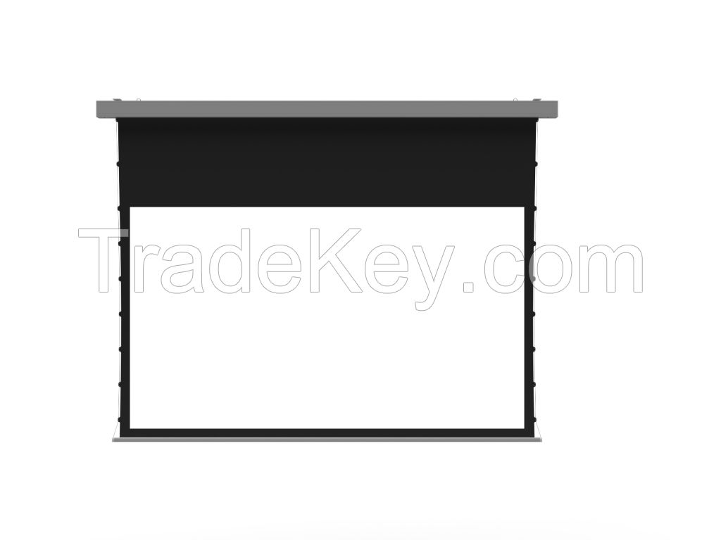 Tab Tensioned  Electric Screen