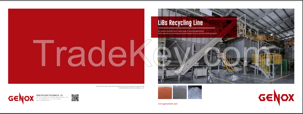 Lithium-ion Battery Recycling System