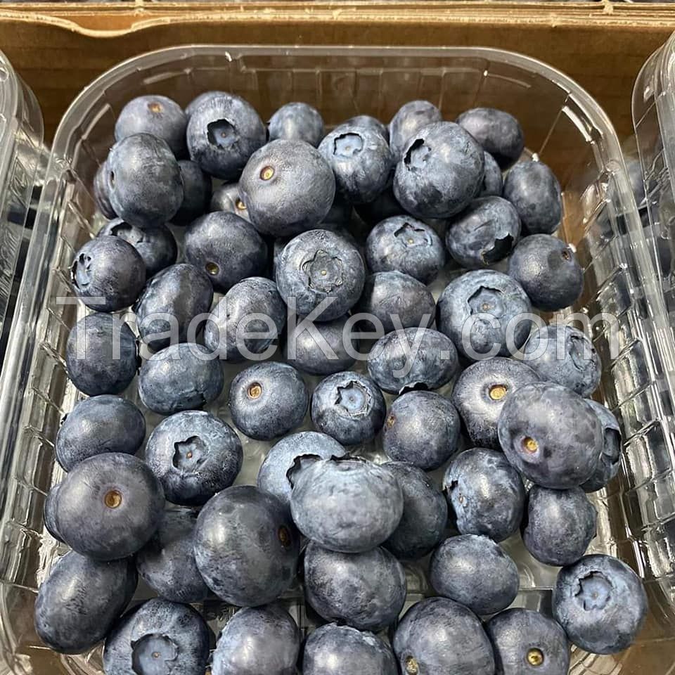 Fresh Blueberries, High Quality Blueberries, Fresh Blueberries Punnets