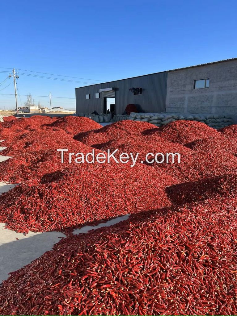 Fresh Capsicum, Bell Pepper, Fresh Chili Pepper, Red and Green Chilli Pepper