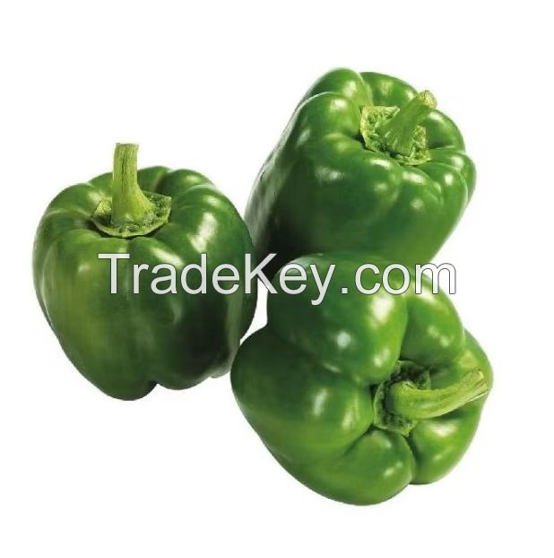 Fresh Capsicum, Bell Pepper, Fresh Chili Pepper, Red and Green Chilli Pepper