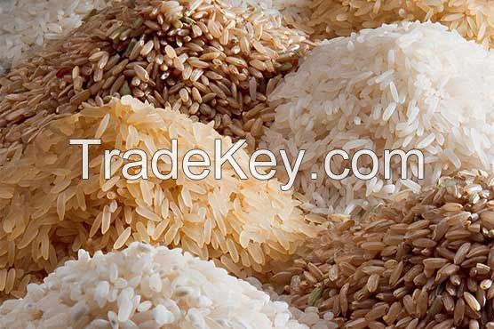 Basmati Rice