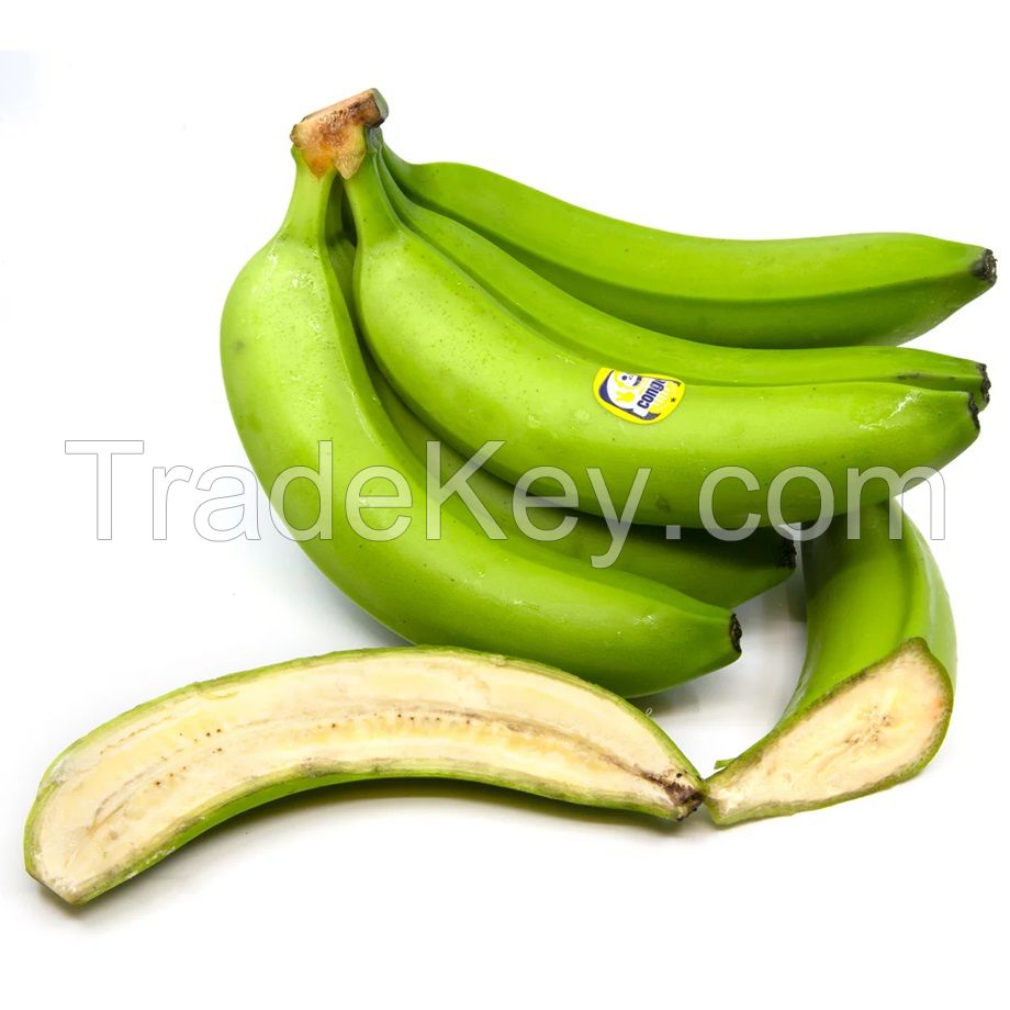 Cavendish Banana Best Quality Premium Grade Common Cultivation Type Wholesale 100% Natural Fresh Bananas