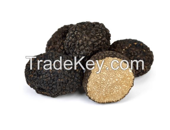 Black truffle mushroom