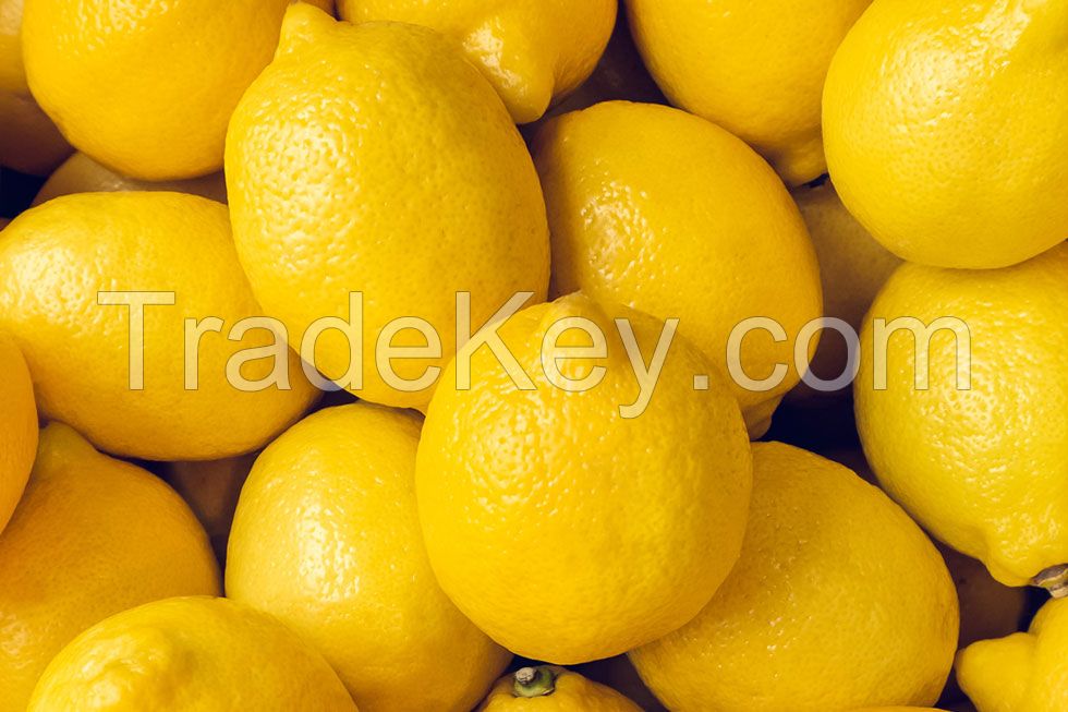 Fresh Yellow Lemons - USA Origin - Best Prices