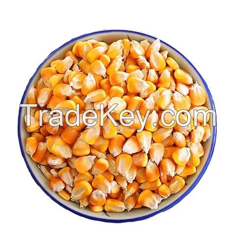 Wholesale Yellow Corn, Non GMO Yellow Corn for Animal Feed, Yellow Corn Maize For Export 