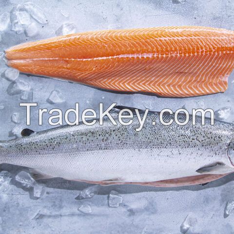 Premium Frozen Salmon Fillets, Whole Pink Salmon Fish, Salmon heads and bellies for sale