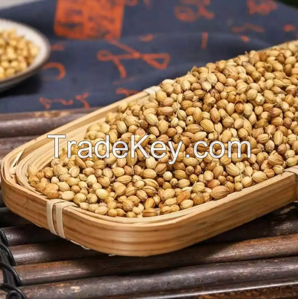 Coriander Seeds