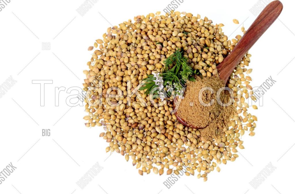 Coriander seeds