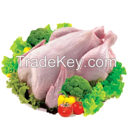 Halal Certified Frozen Whole Chicken For Sale Wholesale Frozen Halal Whole Chicken Frozen