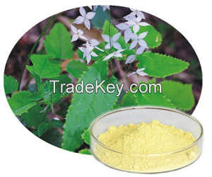 Epimedium P.E. / Epimedium Extract