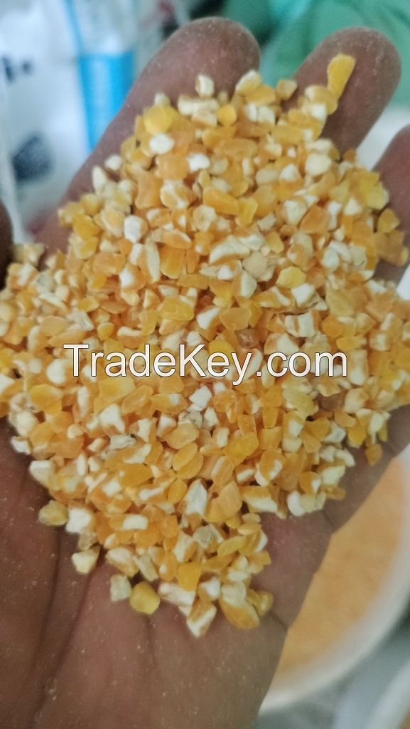 Corn Broken Corn/ Maize for chicken feed