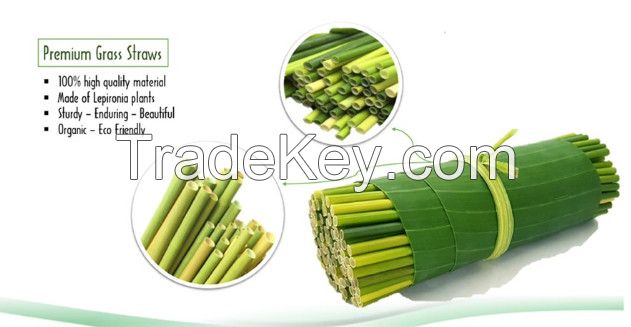 GRASS STRAW