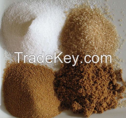 100 %  PURE BROWN SUGAR ICUMSA 600-1200