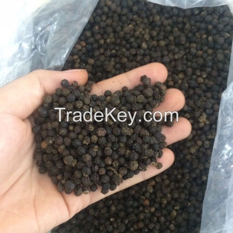 100 % ORGANIC AND NON-GMOBLACK PEPPER FOR SALE 