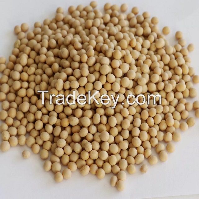 INTERNATIONAL NON GMO SOYBEANS FOR SALE