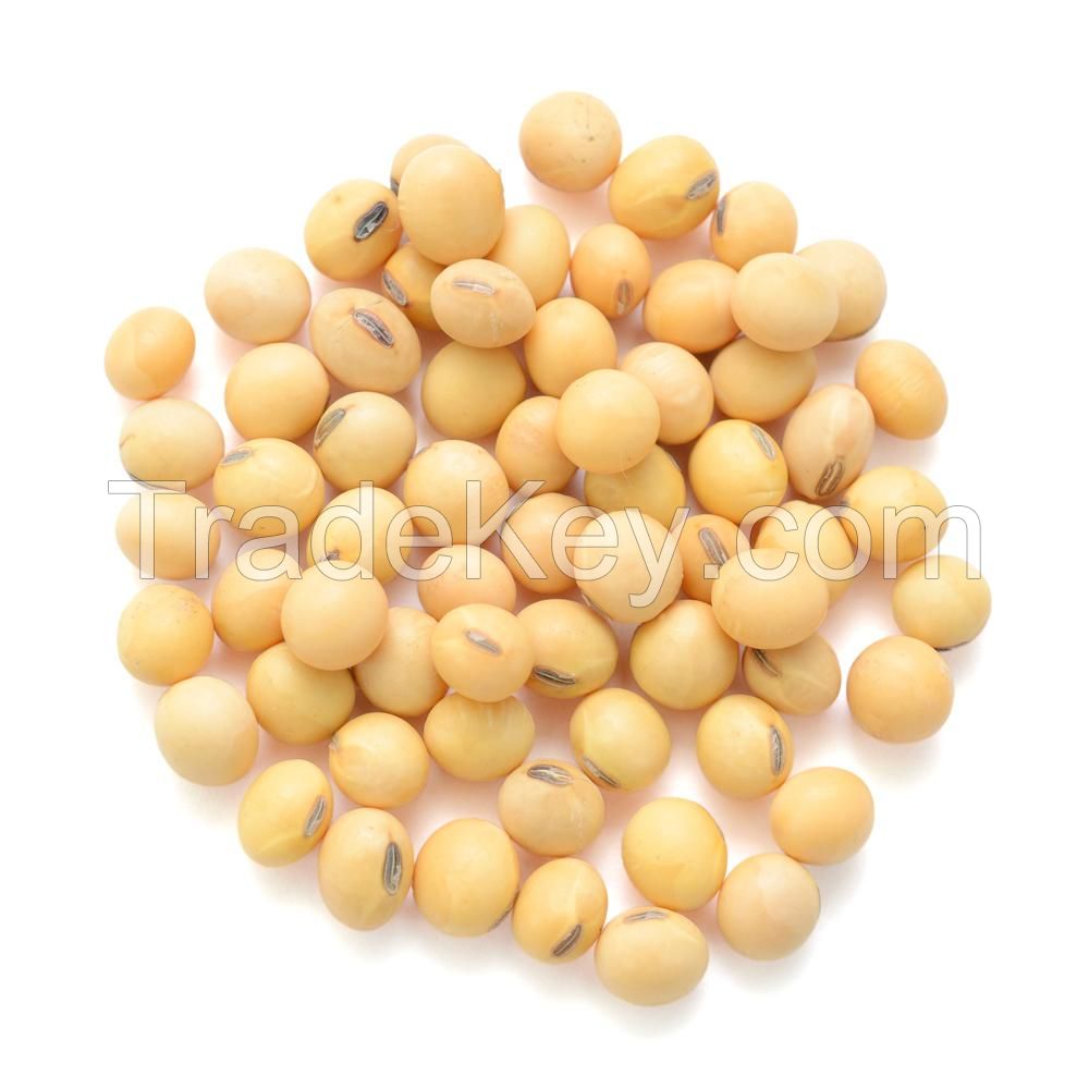 INTERNATIONAL NON GMO SOYBEANS FOR SALE