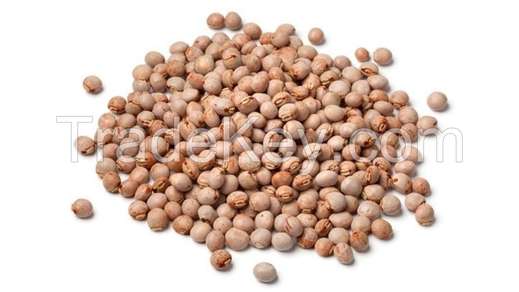 PIGEON PEAS