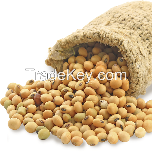 INTERNATIONAL NON GMO SOYBEANS FOR SALE