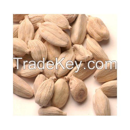  FRESH HIGH-QUALITY WHITE CARDAMOM 