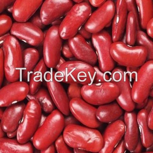 PREMIUM HIGH-PROTEIN RED KIDNEY BEANS