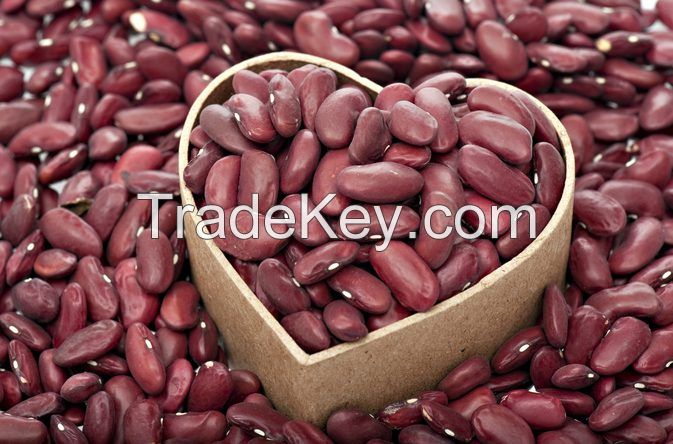 PREMIUM HIGH-PROTEIN RED KIDNEY BEANS