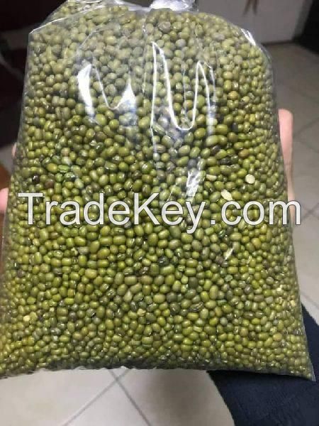 green mung beans